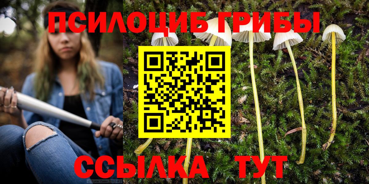 Галлюциногенные грибы Psilocybine cubensis Шадринск