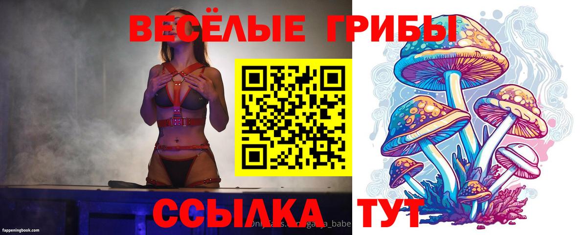 Псилоцибиновые грибы Psilocybine cubensis  Вход с VPN  Шадринск 